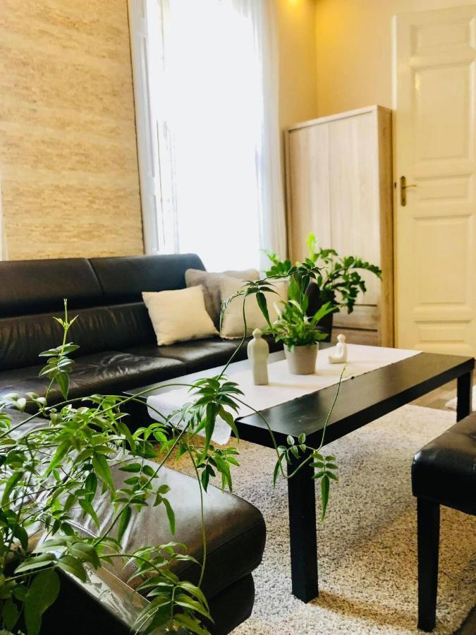 Apartament Nador Luxury *